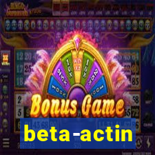 beta-actin