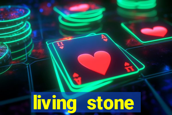 living stone network tv