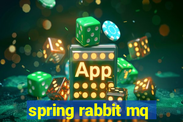 spring rabbit mq