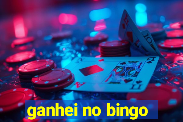 ganhei no bingo