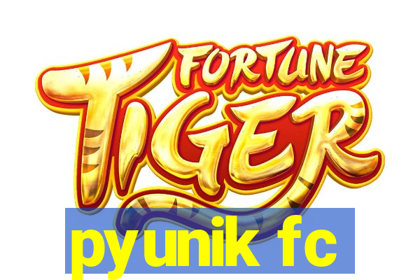 pyunik fc