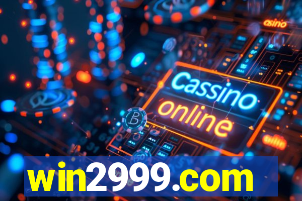 win2999.com