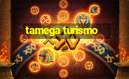 tamega turismo