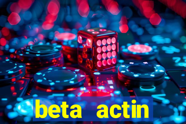 beta actin molecular weight