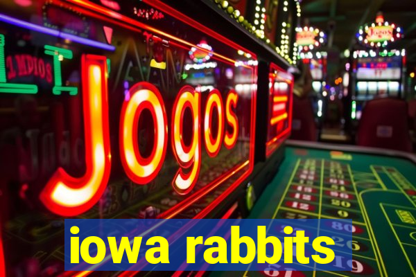 iowa rabbits