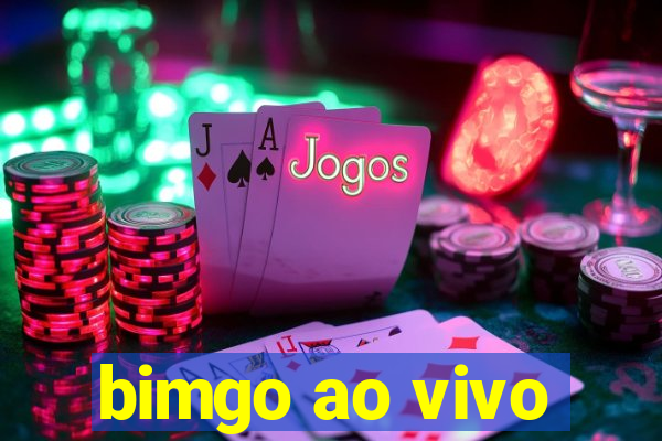 bimgo ao vivo