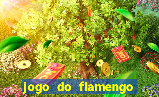 jogo do flamengo hoje quem ganha