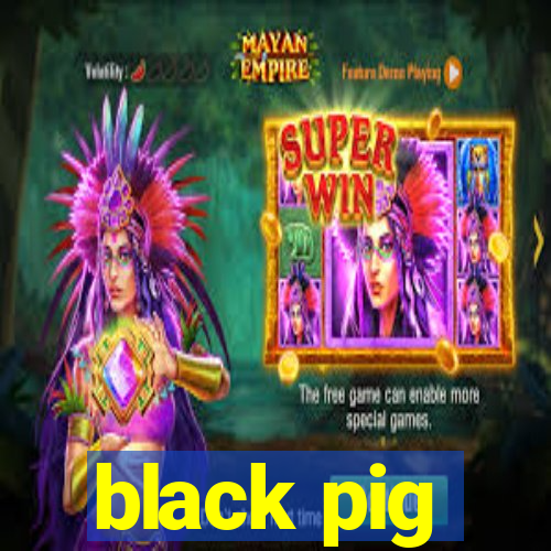 black pig