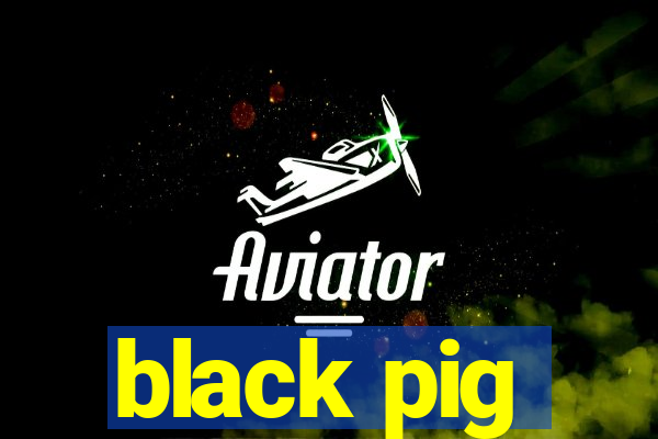 black pig