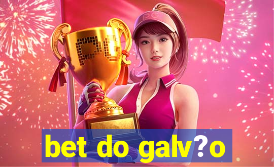 bet do galv?o