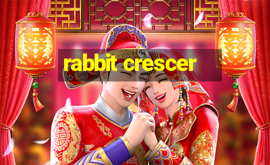 rabbit crescer