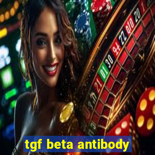 tgf beta antibody