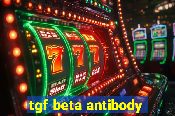 tgf beta antibody