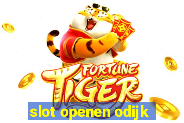 slot openen odijk