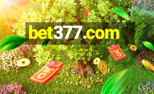 bet377.com