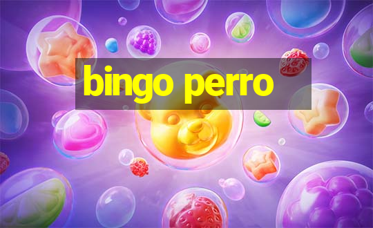 bingo perro