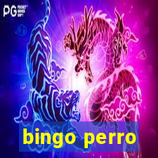 bingo perro