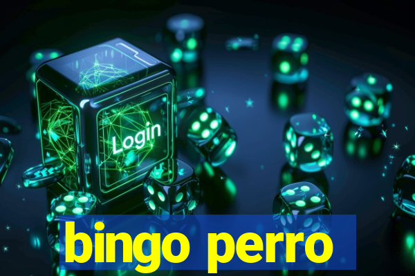 bingo perro