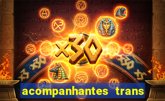 acompanhantes trans santos sp