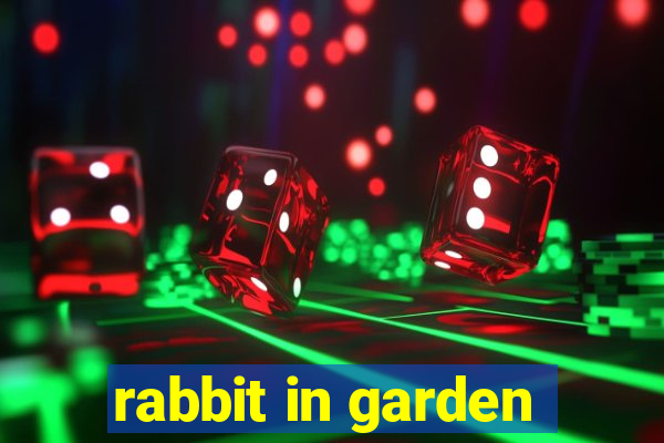 rabbit in garden