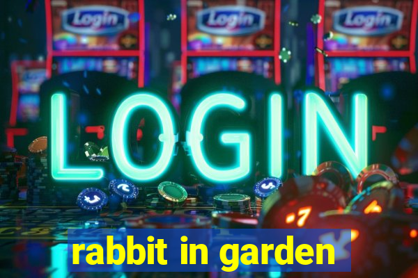 rabbit in garden