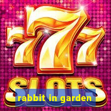 rabbit in garden