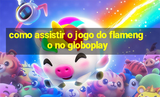 como assistir o jogo do flamengo no globoplay