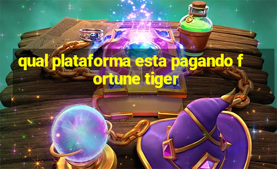 qual plataforma esta pagando fortune tiger