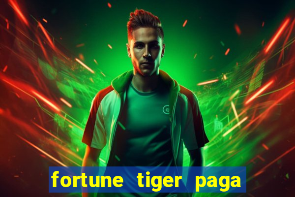 fortune tiger paga de madrugada