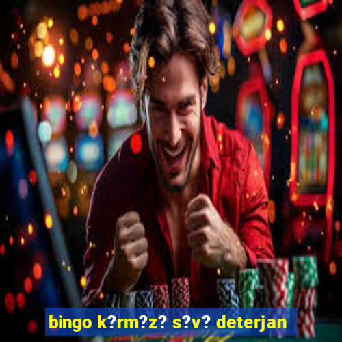 bingo k?rm?z? s?v? deterjan