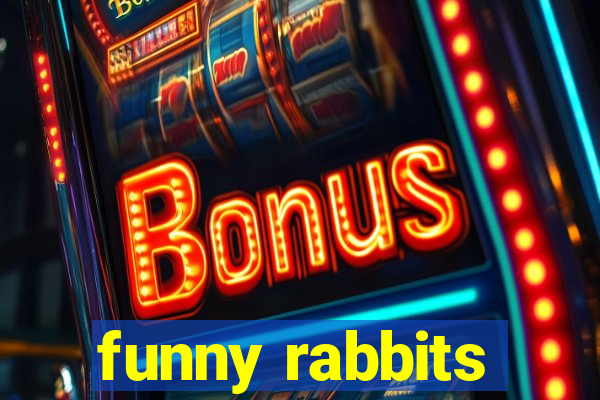 funny rabbits