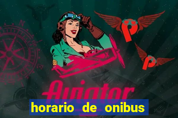 horario de onibus passaro marrom