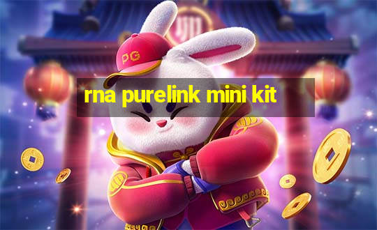 rna purelink mini kit