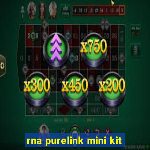 rna purelink mini kit