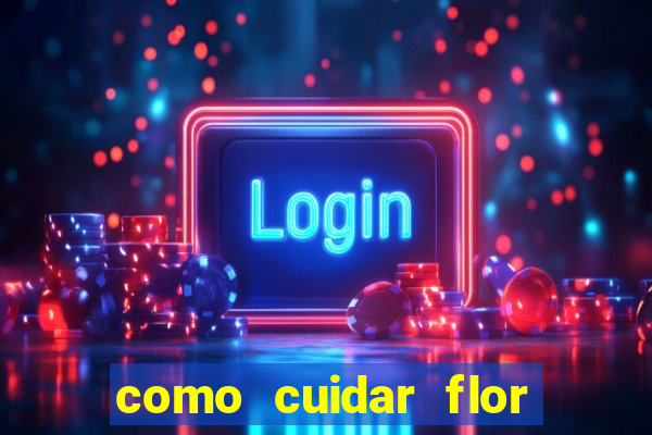 como cuidar flor da fortuna