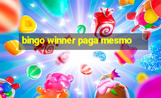 bingo winner paga mesmo