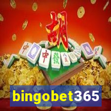 bingobet365