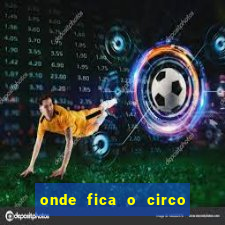 onde fica o circo do beto carrero