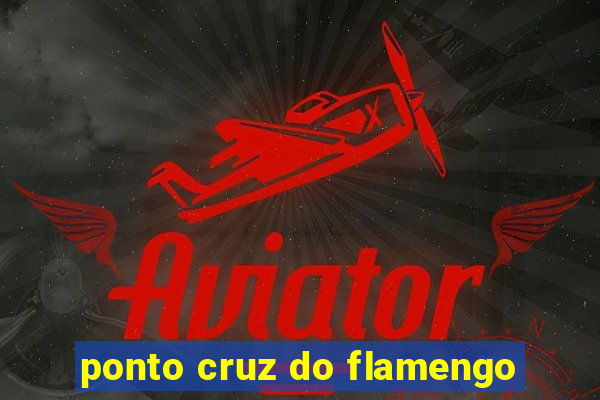 ponto cruz do flamengo