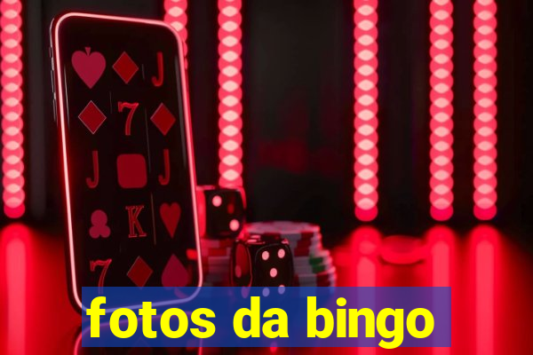 fotos da bingo