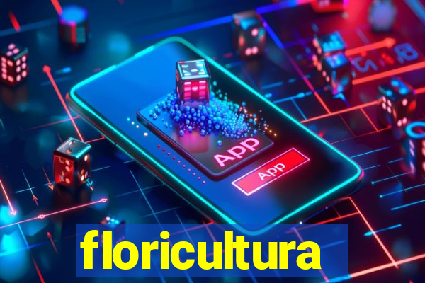 floricultura cruzeiro novo