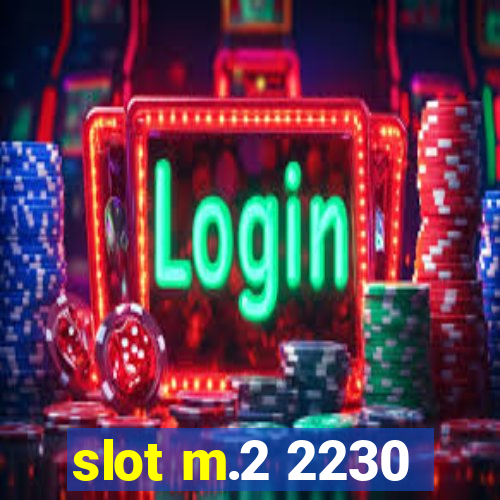 slot m.2 2230