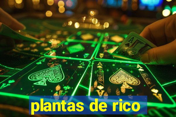 plantas de rico