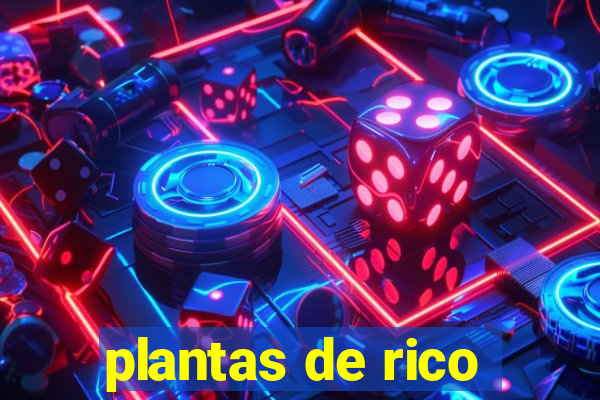 plantas de rico