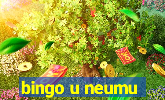 bingo u neumu