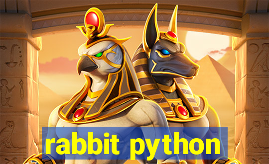 rabbit python