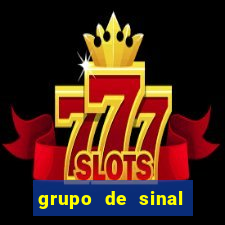 grupo de sinal fortune tiger