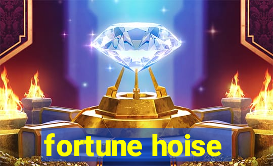 fortune hoise