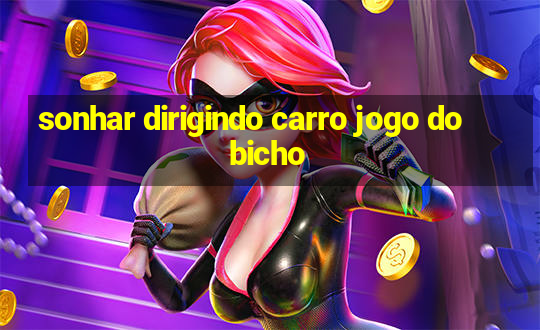 sonhar dirigindo carro jogo do bicho