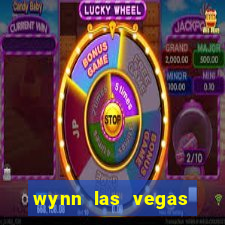 wynn las vegas slot machines